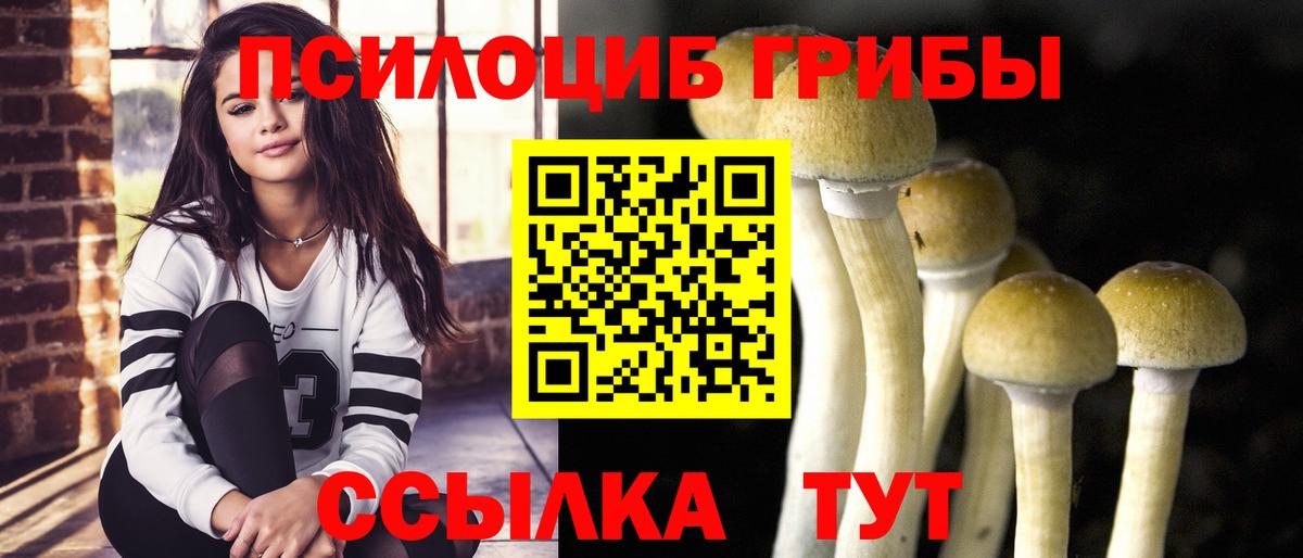 Черкесск  Псилоцибиновые грибы ЛСД  Вход с VPN 